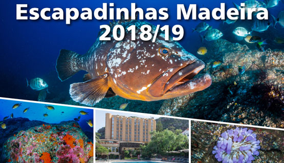 Escapadinha Madeira 2019